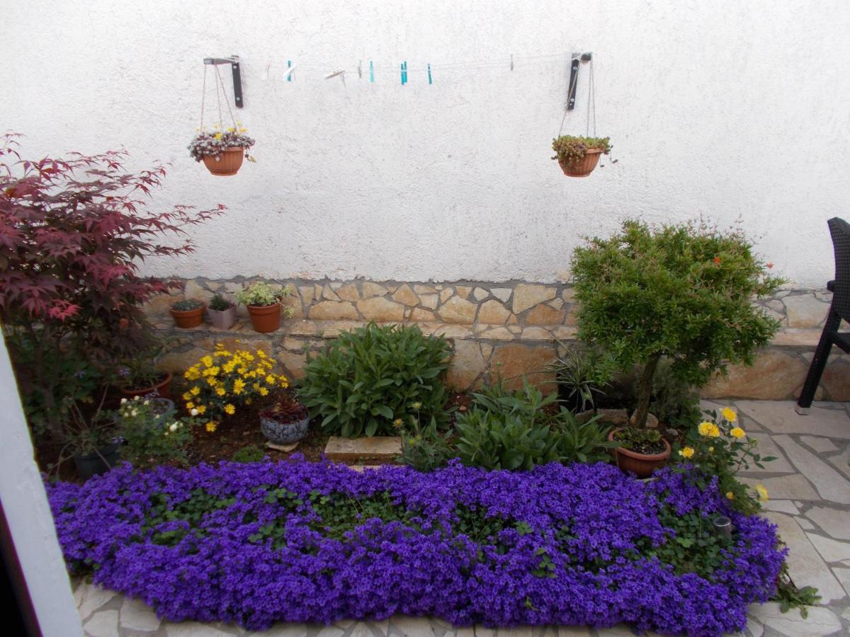 Dragana Apartment Porec Exterior photo